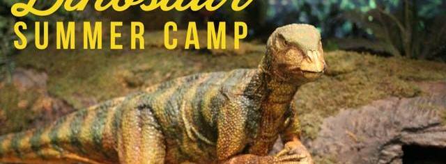 Dinosaur Summer Camp - McAllen, TX | Camps Wizard