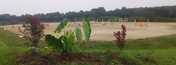 Just Cruising Equestrian Center Summer Camp Week 1 - Kingdom City, MO