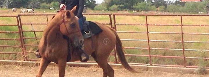 Final Summer 2016 Kid's Riding Camp - Georgetown, TX