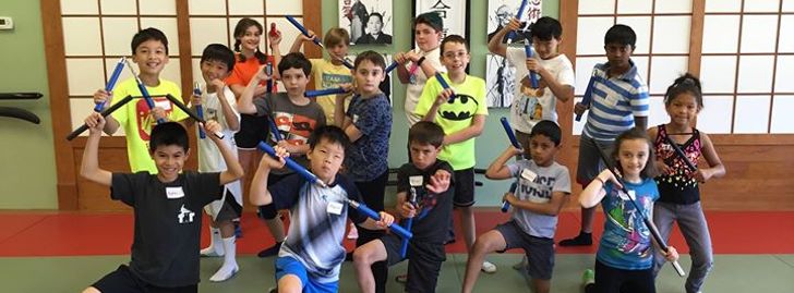 2017 Kid's Ninja Summer Camp - Naperville, IL