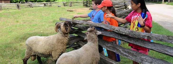 Camp Washington: Summer Day Camp At Mount Vernon - Mount Vernon, VA