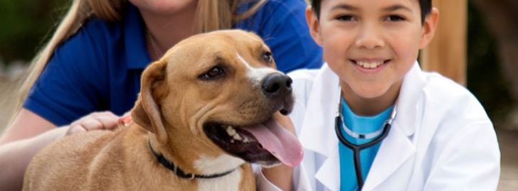 Kids Camp: Animal Doctors Mini-Camp - Phoenix, AZ