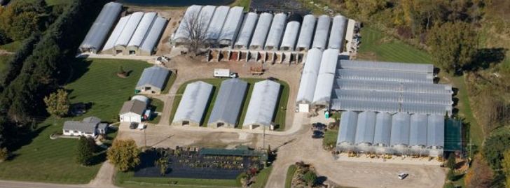 Campbell's Greenhouses