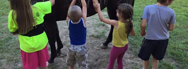 Youth Horse and Nature Camp - Mora, MO