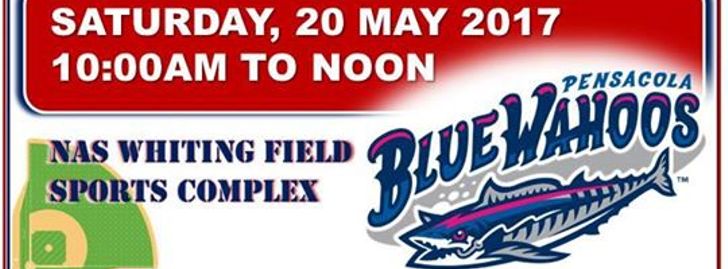 Kids Baseball Camp with the Blue Wahoos - Milton, FL