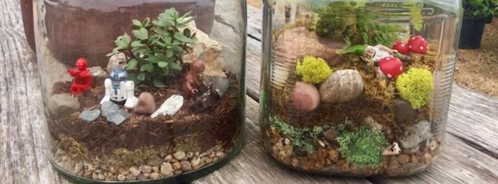 Kid's Terrarium Garden Summer Day Camp - Spring Branch, TX