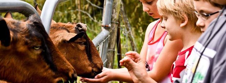 21 Acres Summer Youth Farm Camp: Farm Life Safari - Woodinville, WA