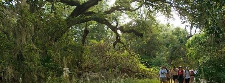 Kid-Free Nature Camp for Grown-Ups - Lakeland, FL