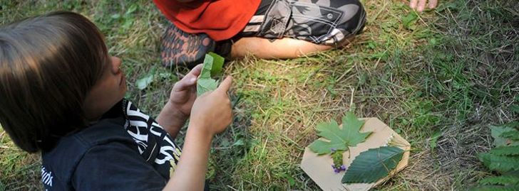 New! The Pioneer-Processing & Preservation of Food Youth Camp - Corvallis, OR