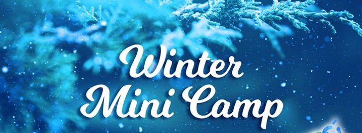 Winter Mini Camp with ARTSi Studio - Long Valley, NJ