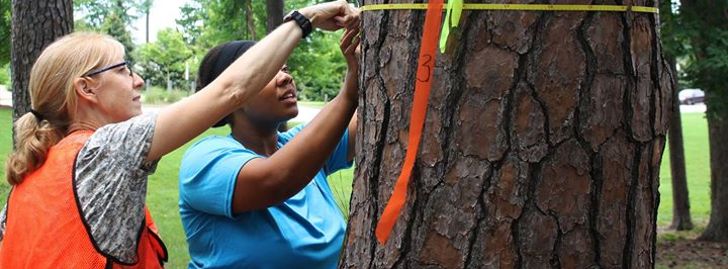 Forestry Camp - Auburn, AL