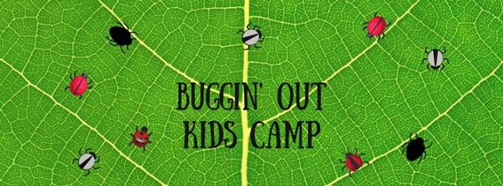 Buggin' Out Kid's Camp - Fresno, CA