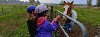 Horsin’ Around with Girl Scouts Spring 2019!