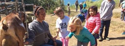 Summer Camp at Slide Ranch - Week 5: July 8-12 - Ranch Rangers (5-13) & Jr Environmental Educators (14-18)