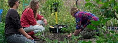 Summer Camp at Slide Ranch - Week 8: July 29-August 2 - Junior Farmers (8-13) & Teen Camp (16-18)