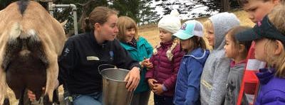 Summer Camp at Slide Ranch - Week 10: August 12-16 - Ranch Rangers (5-13) & Jr Environmental Educators (14-18)