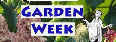 Garden Cooking Camp (Summer 2019): Greek Garden Week 2